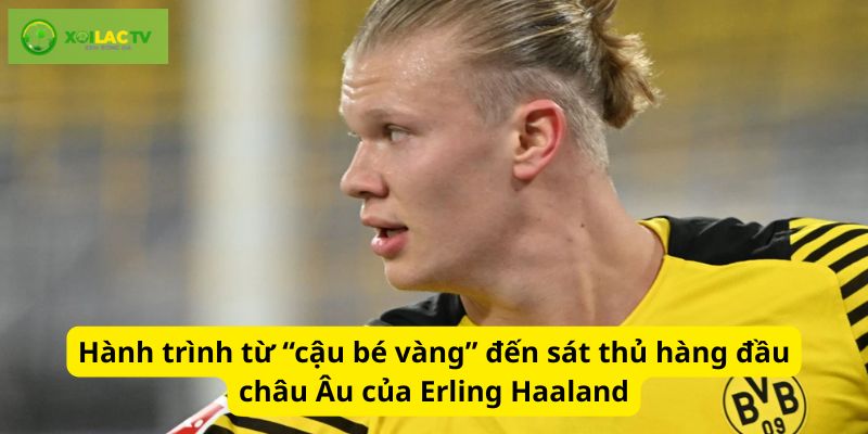 Hành trình bước ngoặt của Erling Haaland