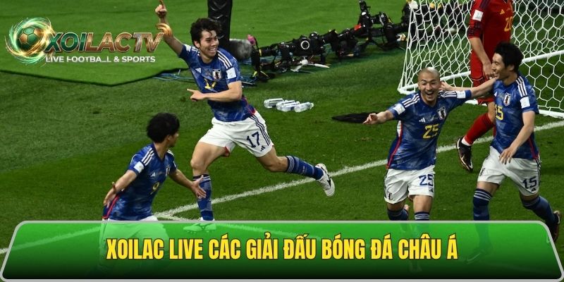 Phát trực tiếp các trận bóng đá châu Á 24/24